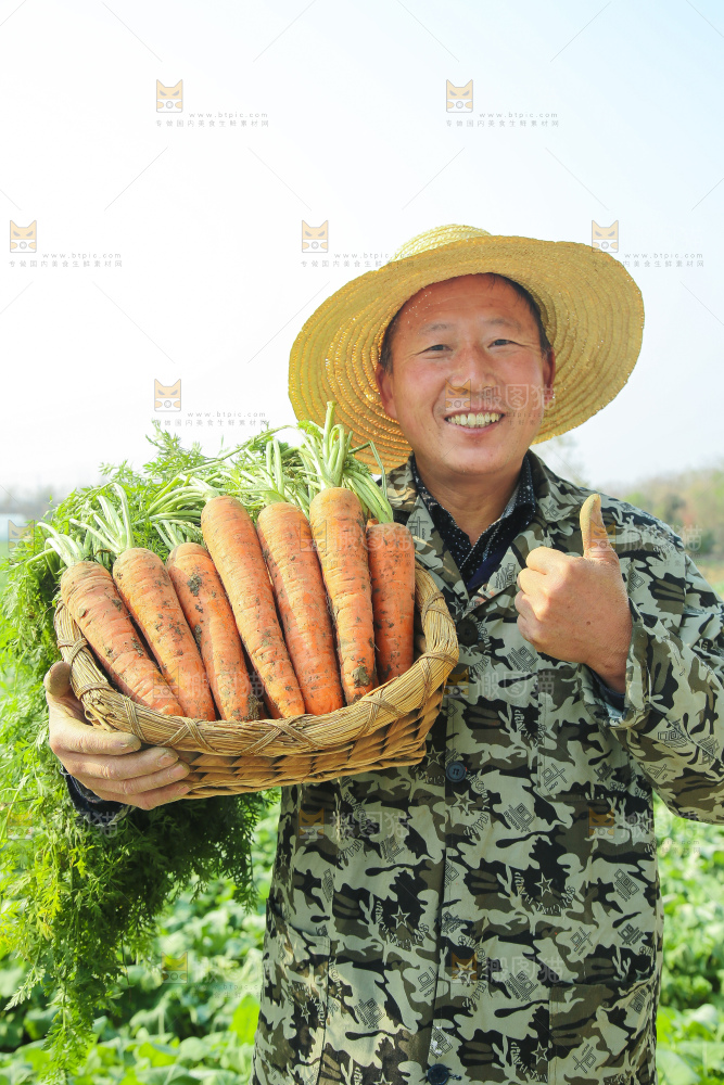 手里拿着胡萝卜