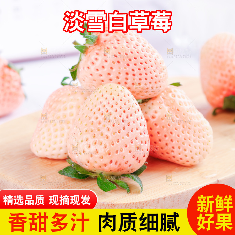 浅底上的淡雪草莓