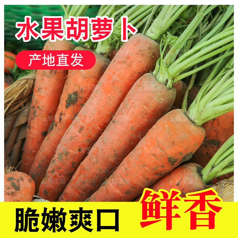 地里的现挖胡萝卜