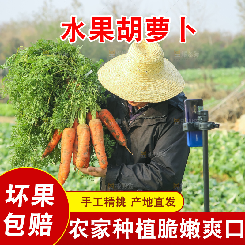 手里拿着胡萝卜