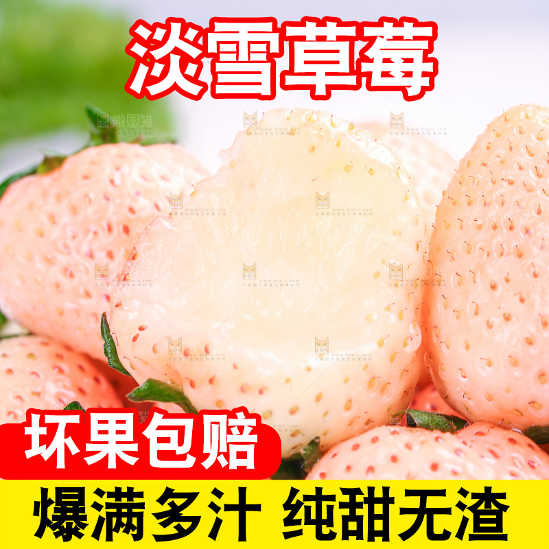 淡雪草莓主图