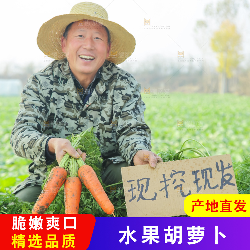 手里拿着胡萝卜
