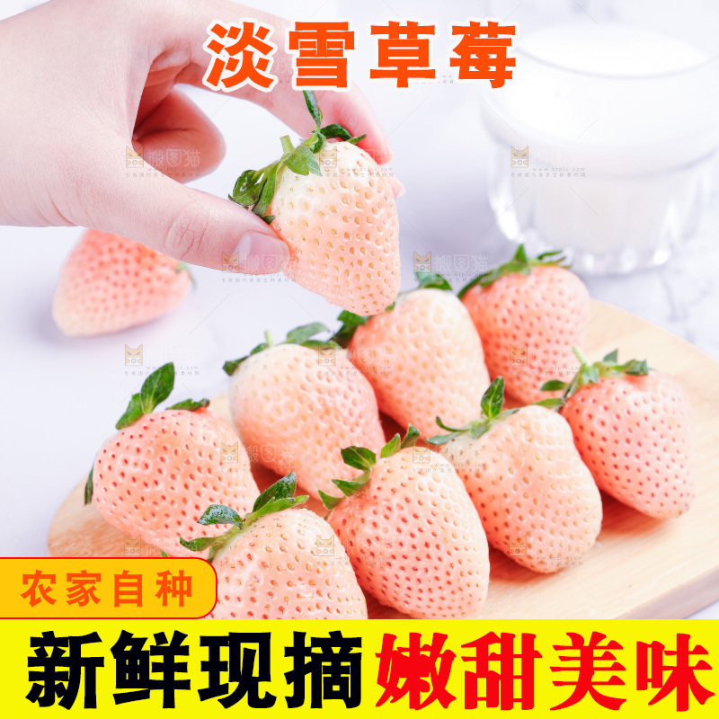 淡雪草莓主图