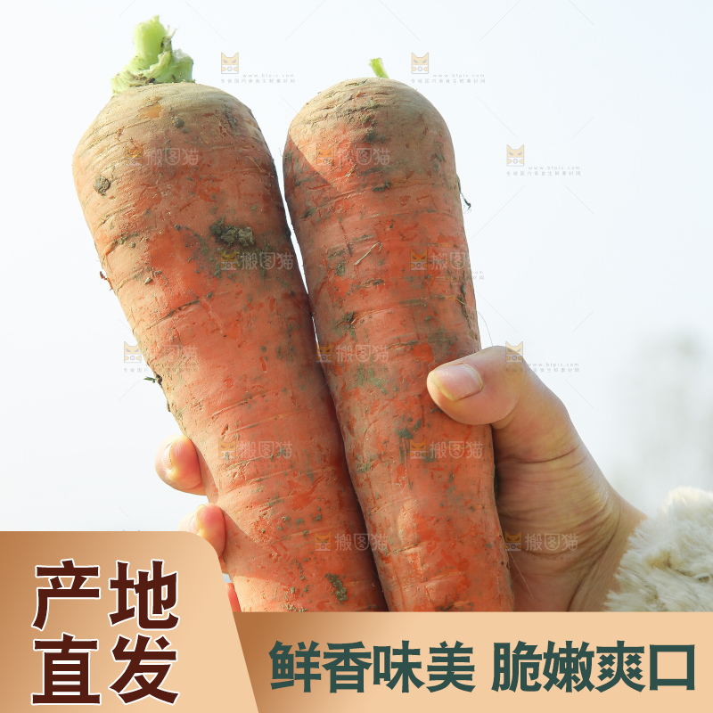 手里拿着胡萝卜