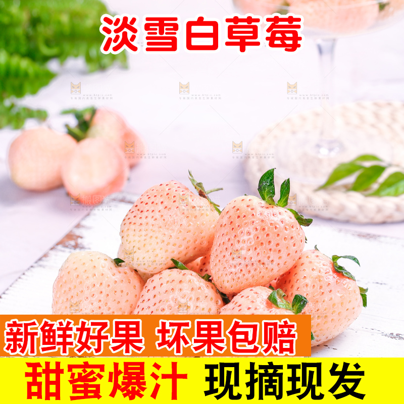 浅底上的淡雪草莓