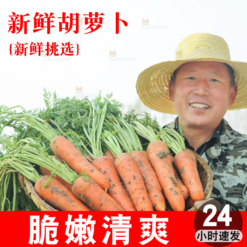 手里拿着胡萝卜