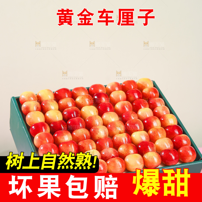 浅底上的黄金车厘子