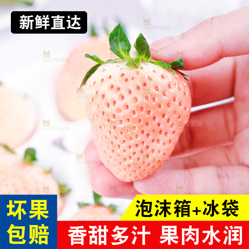 浅底上的淡雪草莓