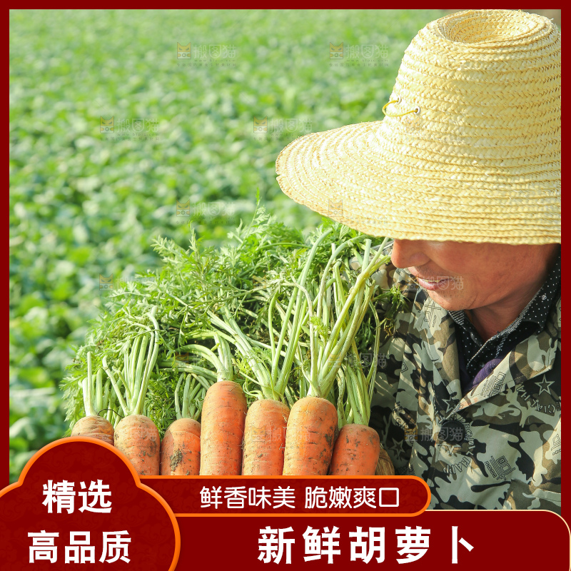 手里拿着胡萝卜