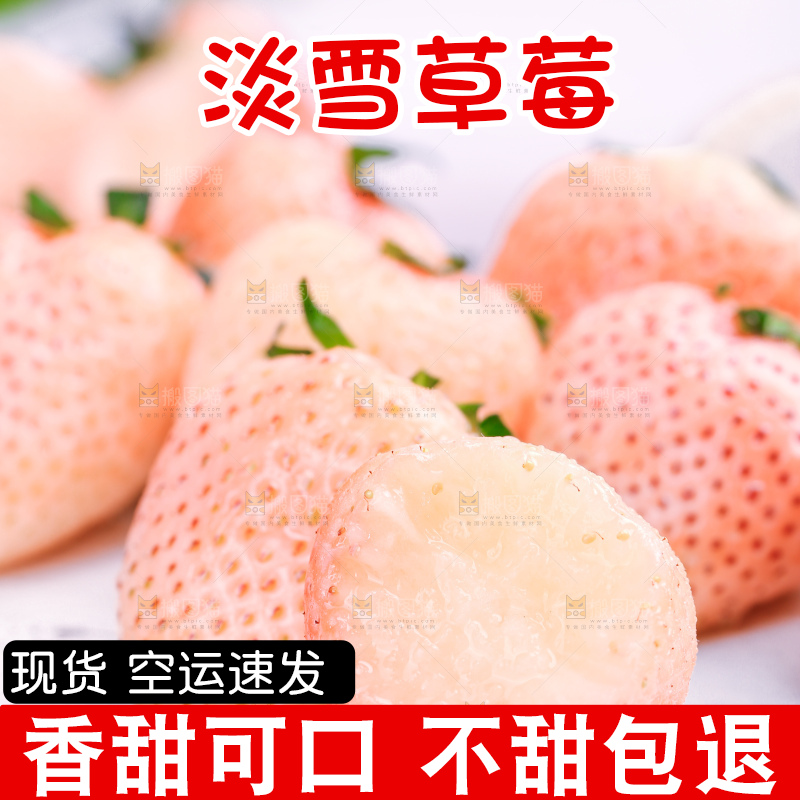 浅底上的淡雪草莓