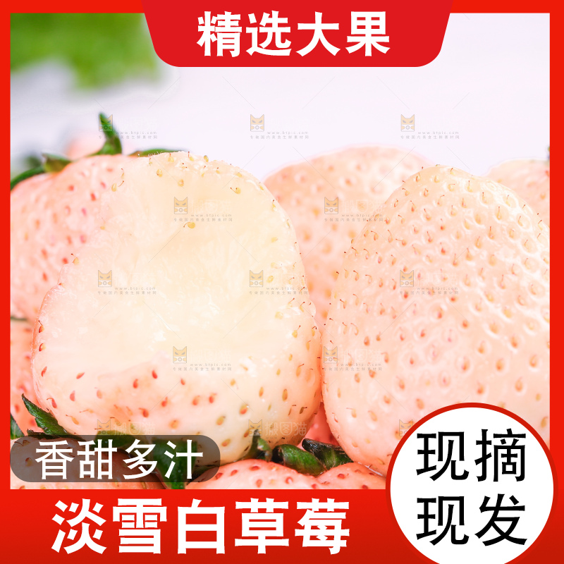 浅底上的淡雪草莓