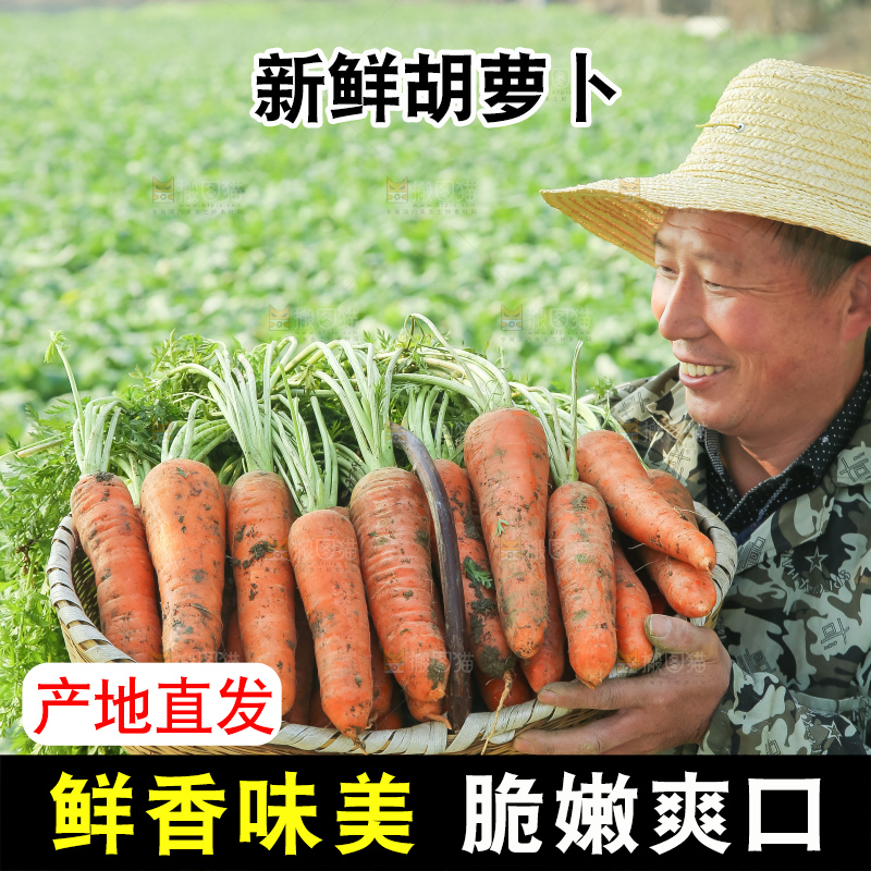 手里拿着胡萝卜