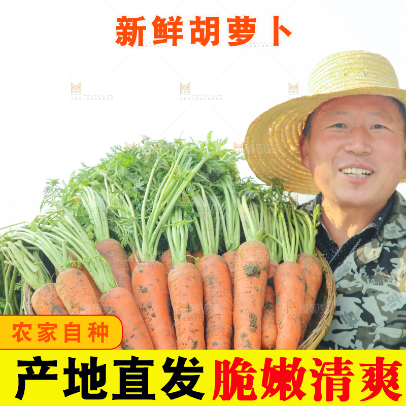 手里拿着胡萝卜