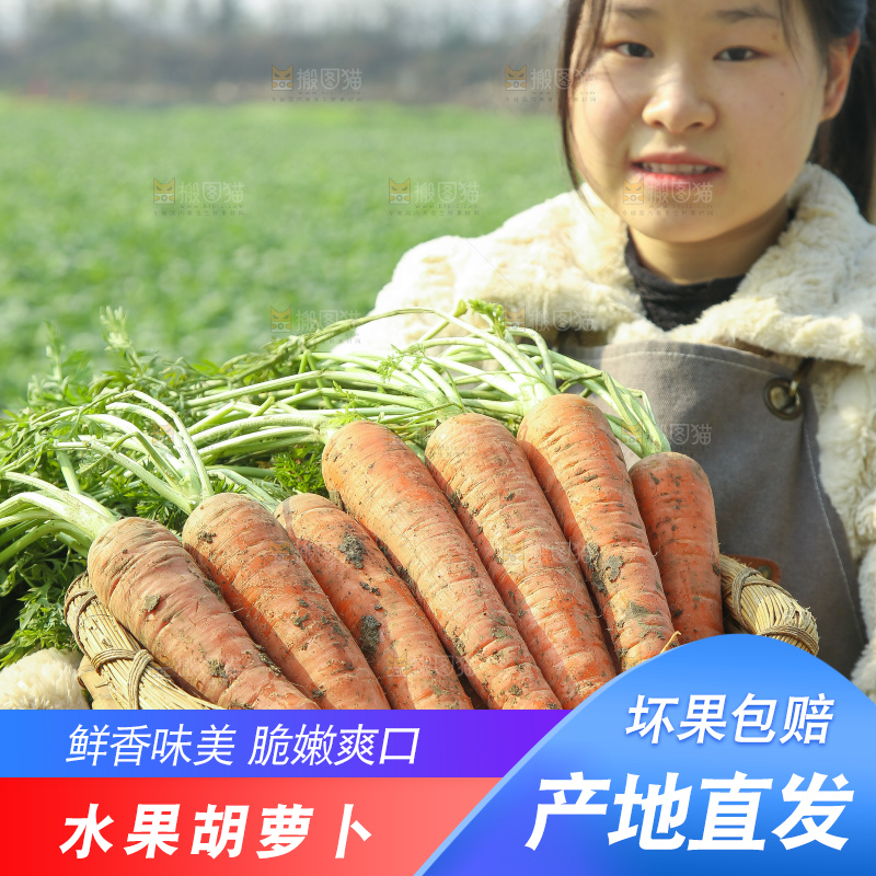 手里拿着胡萝卜