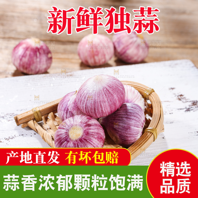 木底上的紫皮独头蒜