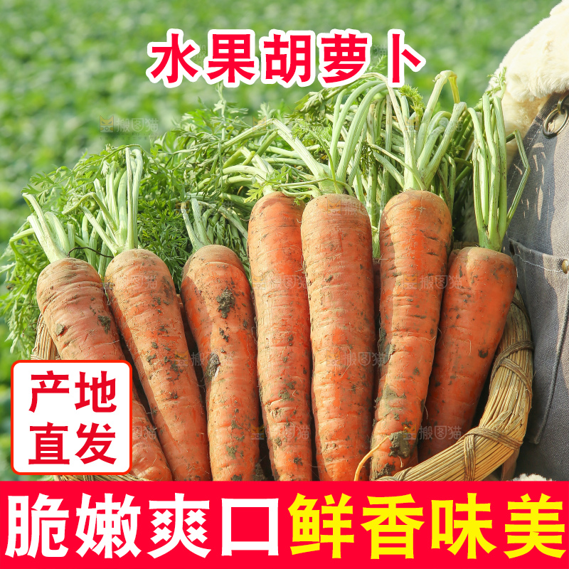 手里拿着胡萝卜