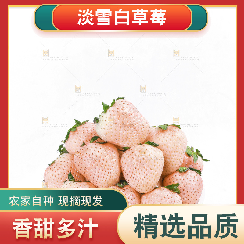 白底上的淡雪草莓