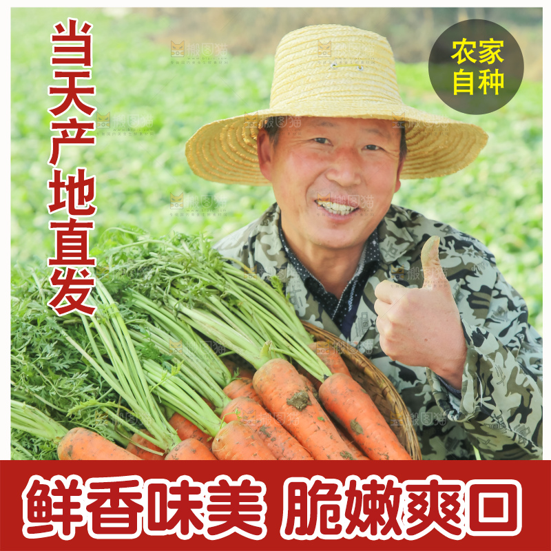 手里拿着胡萝卜