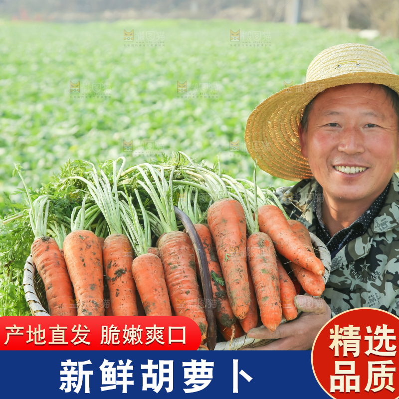 手里拿着胡萝卜