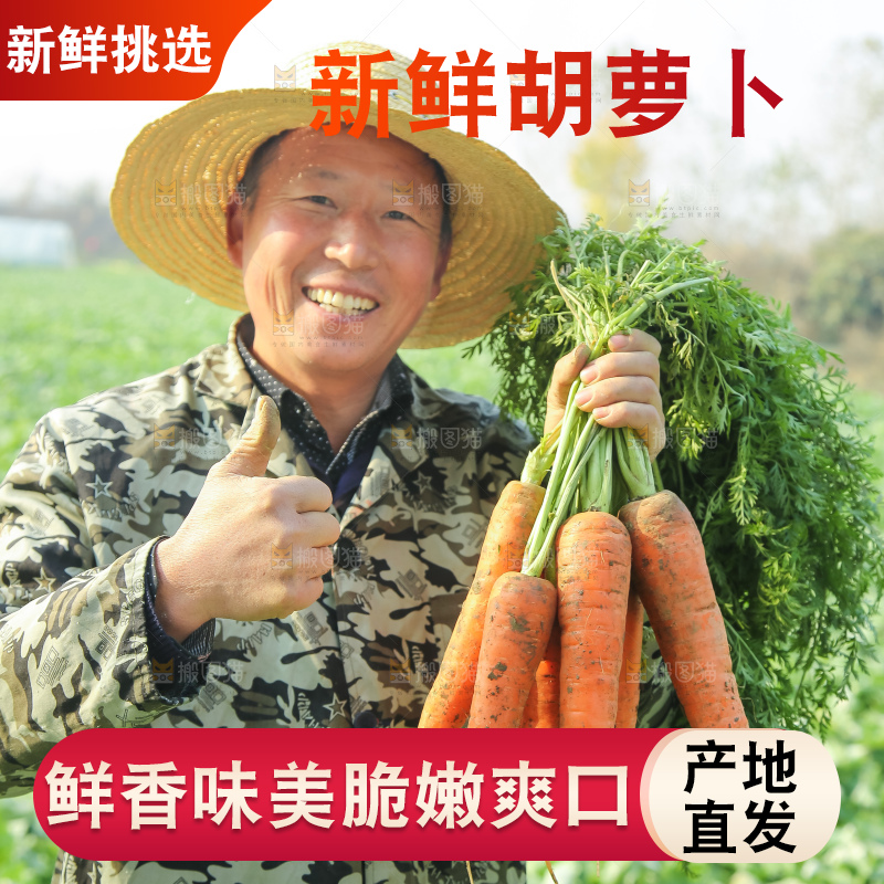 手里拿着胡萝卜