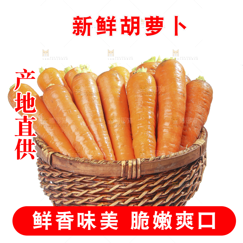 白底上的胡萝卜