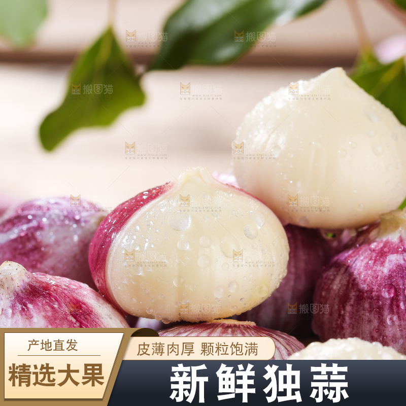木底上的紫皮独头蒜