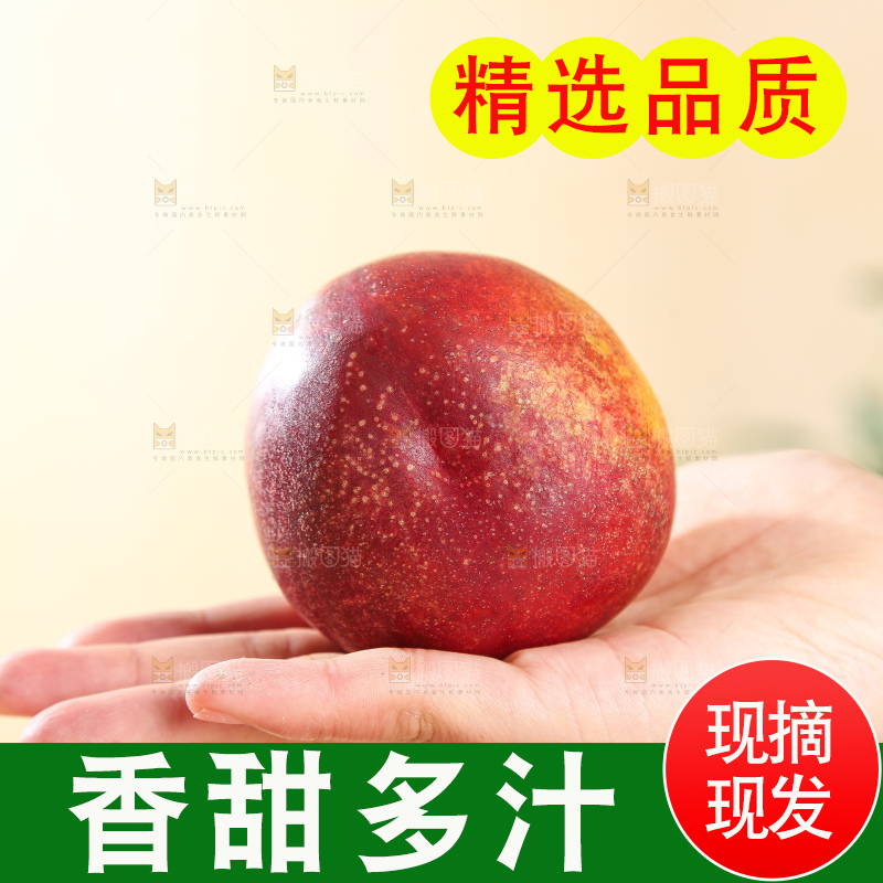 浅底上的澳洲油桃