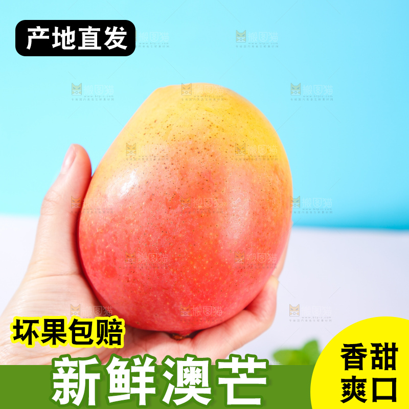 浅底上的澳芒