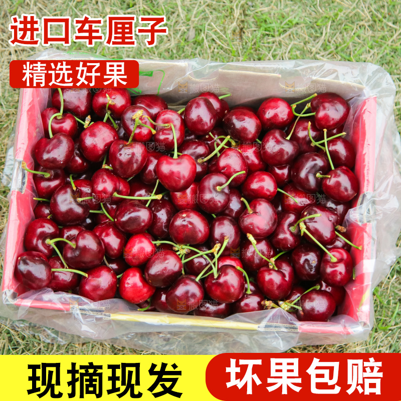 手里拿着智利车厘子