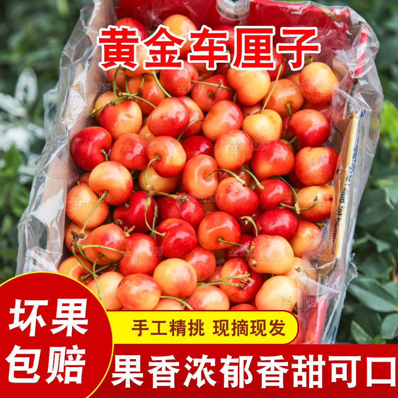 手里拿着黄金车厘子
