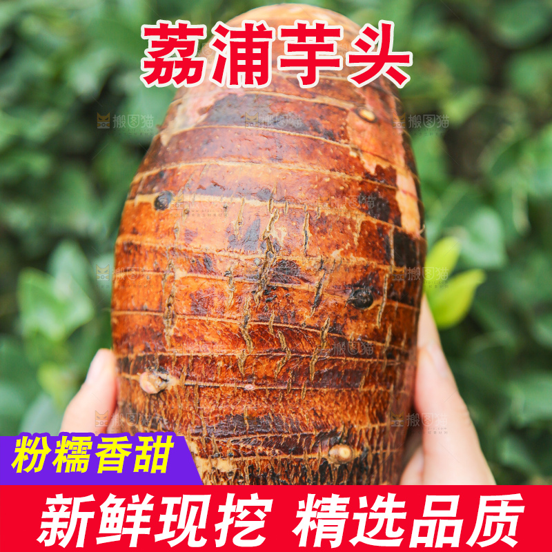 手里拿着荔浦芋头