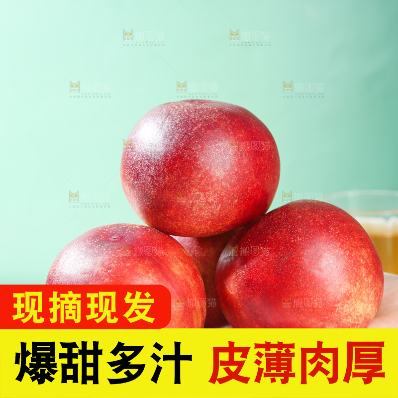 浅底上的澳洲油桃