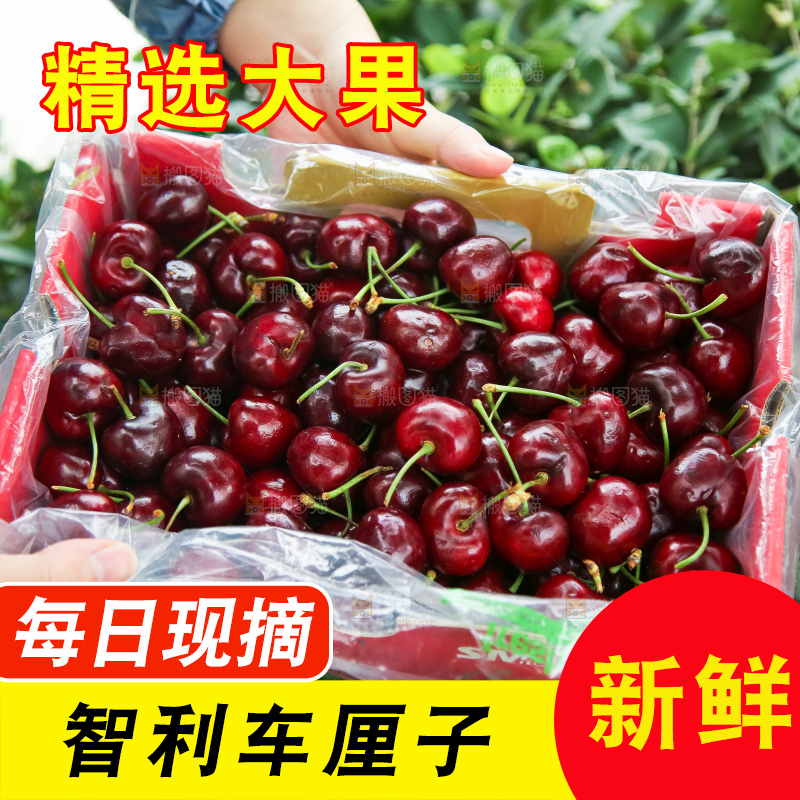 手里拿着智利车厘子