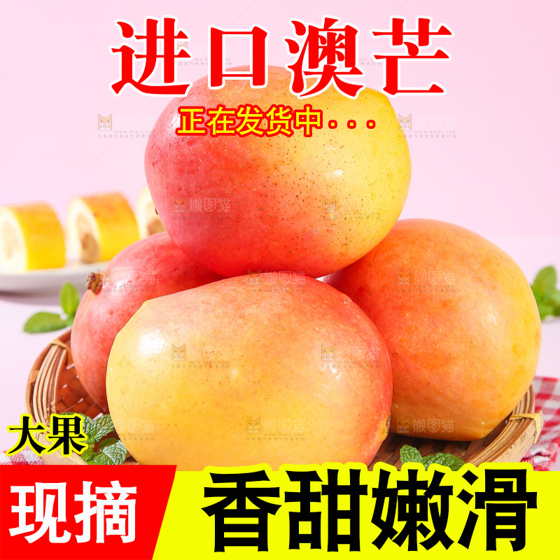 浅底上的澳芒