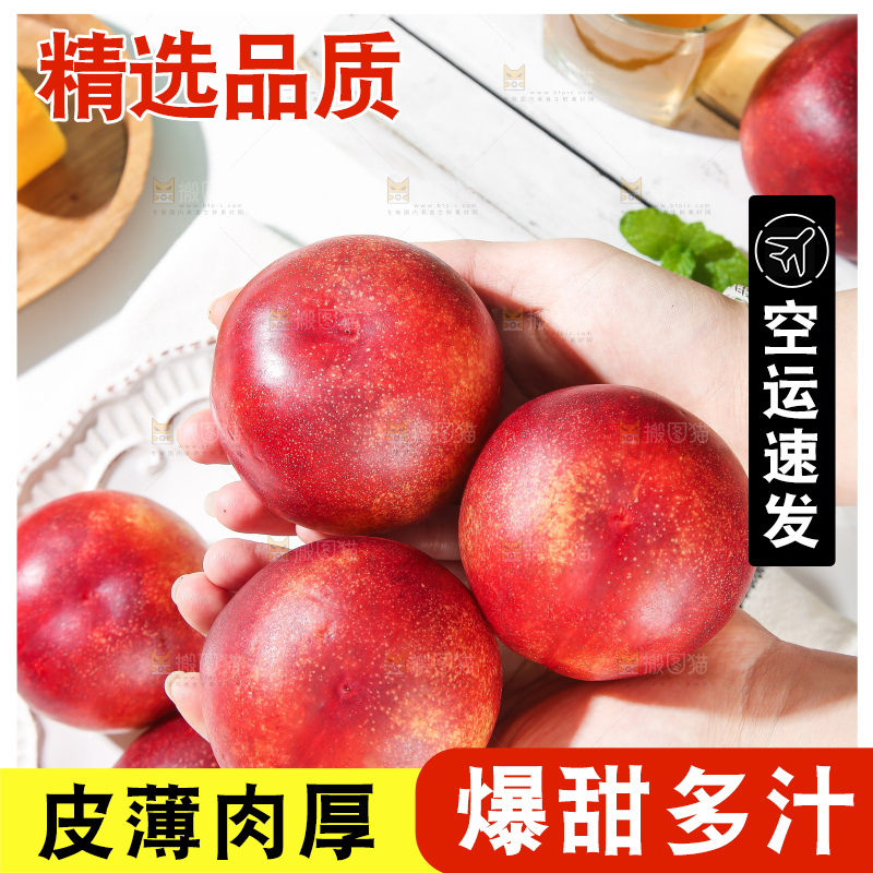 浅底上的澳洲油桃