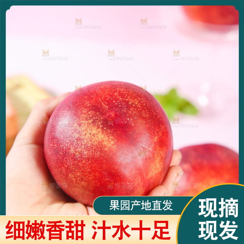 浅底上的澳洲油桃