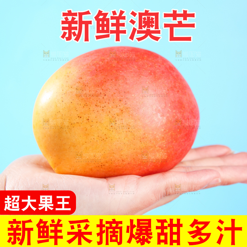 浅底上的澳芒