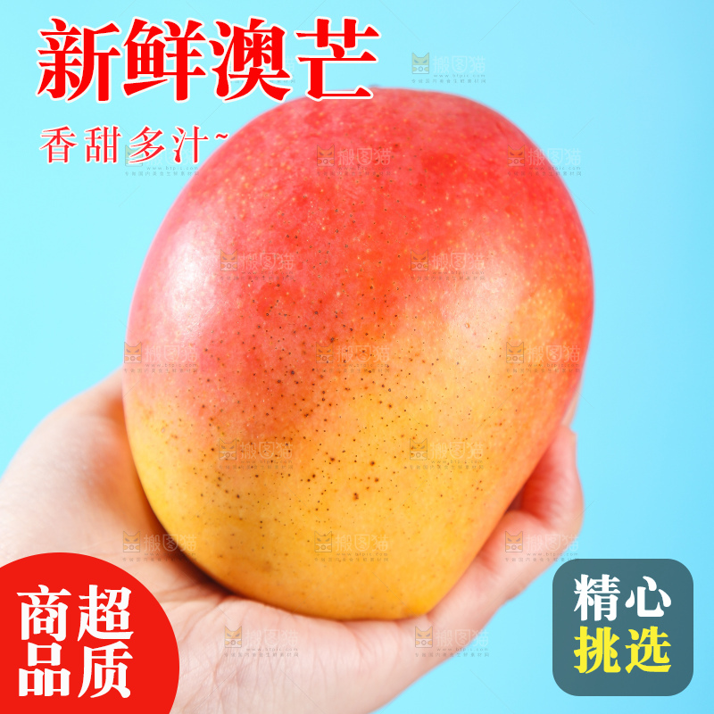 浅底上的澳芒