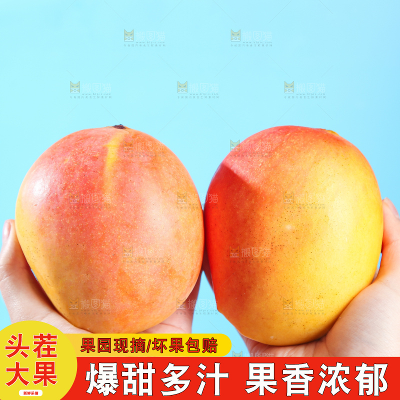 浅底上的澳芒