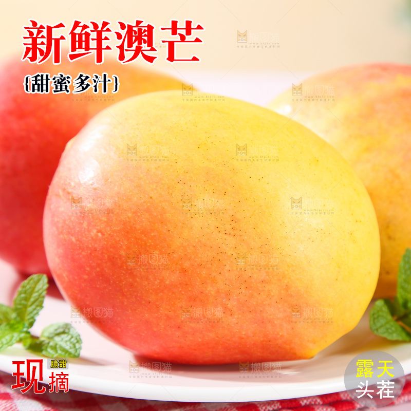 浅底上的澳芒