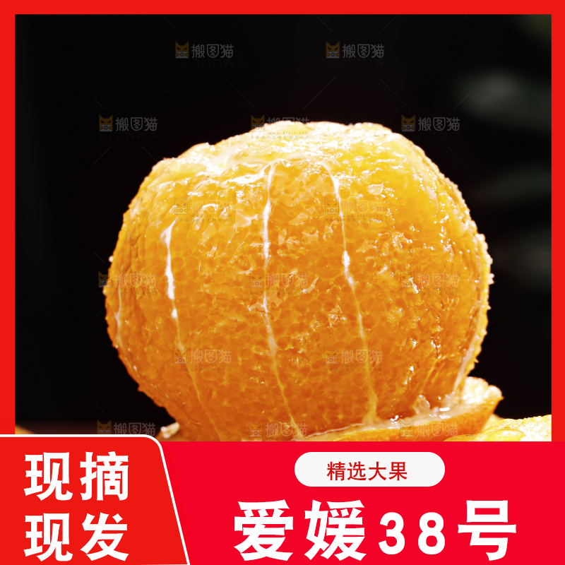爱媛果冻橙主图