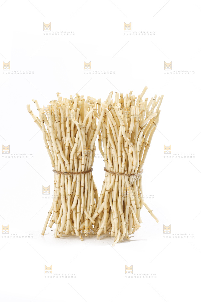 白底上的折耳根