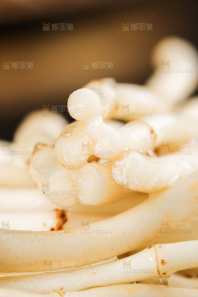 深底上的新鲜折耳根