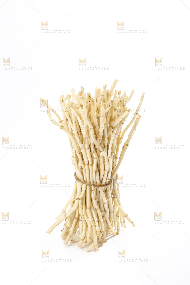 白底上的折耳根