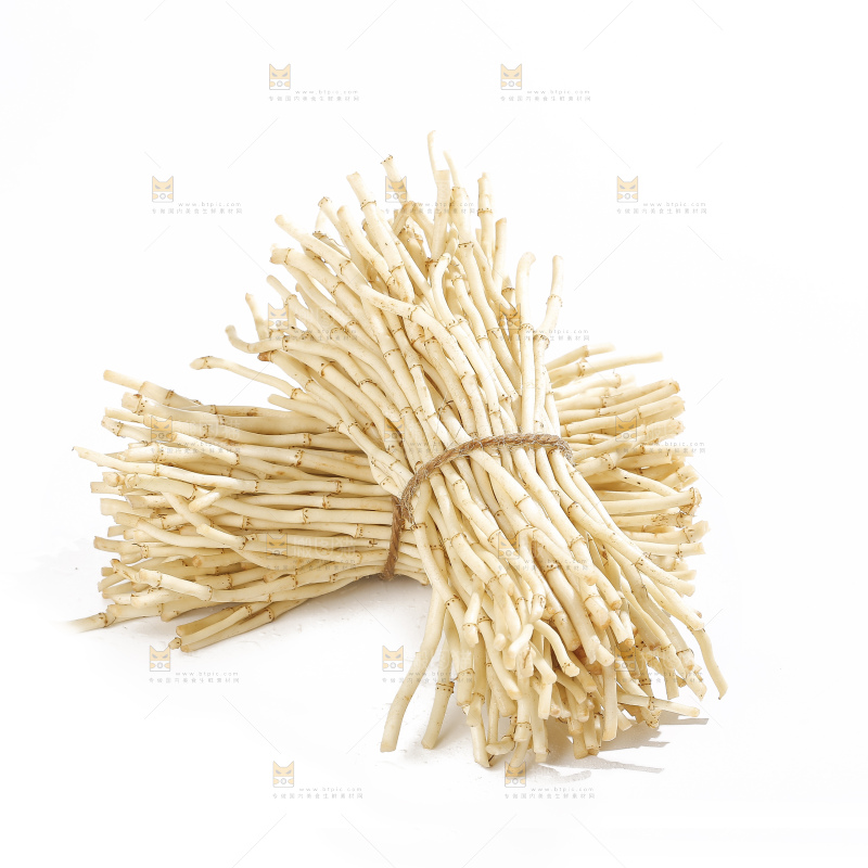 白底上的折耳根