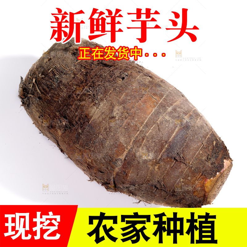 白底上的荔浦芋头
