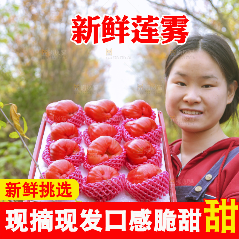 手里拿着莲雾