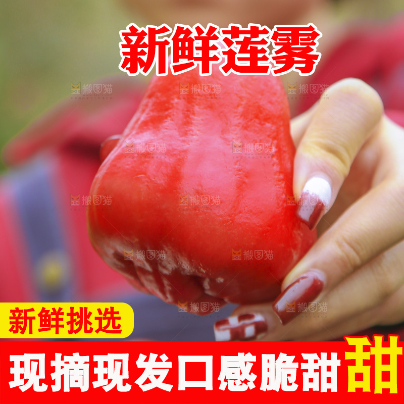 手里拿着莲雾