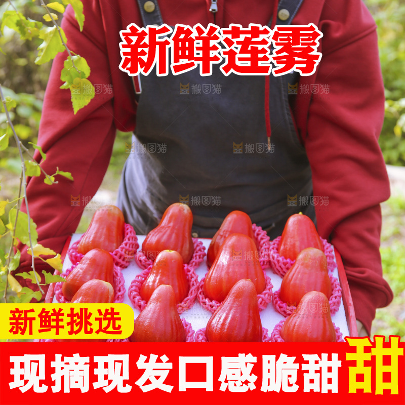 手里拿着莲雾