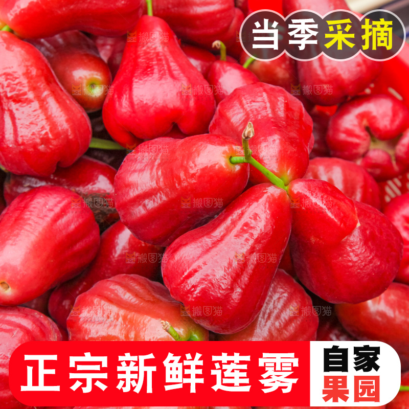 篮子里的莲雾果